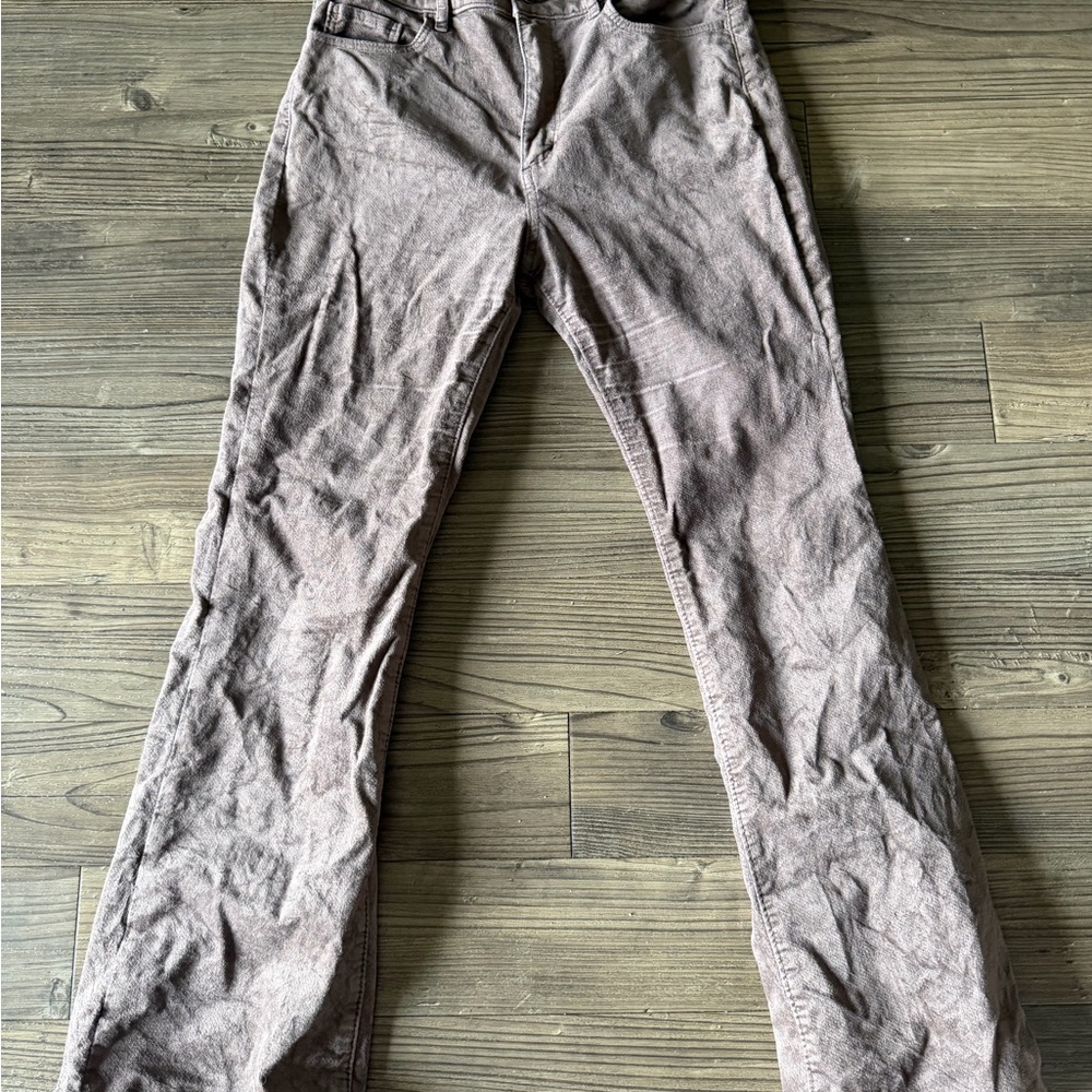LOFT Boot Cut Pants Size 2P
